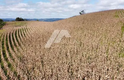 Terreno à venda no Centro, Campo Magro 