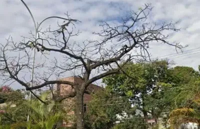 Terreno a venda na vila hamburguesa, sao paulo | oportunidade unica!