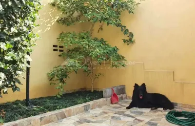 Casa com 2 quartos à venda na Vila Yara, Osasco 