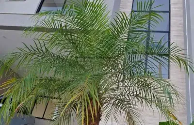 Sobrado com 3 quartos - condomínio residencial foggiatto