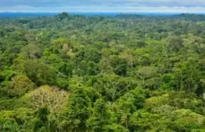 Area de 8908 hectares am total ou parcial municipio de tapuá