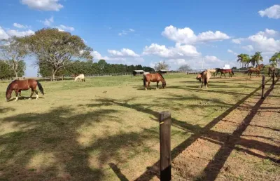 Chácara / sítio à venda na municipal josé correa de moraes, 1, chapada grande, itapetininga por r$ 30.000.000