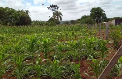 Terreno à venda na estrada briene, 1010, samanbaial, barão de antonina por r$ 42.900