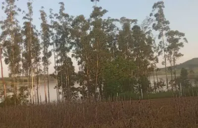 Chácara / sítio à venda na rural, 1010, zona rural, barão de antonina por r$ 95.000
