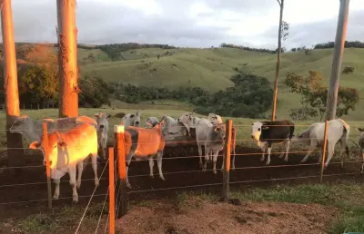 Chácara / sítio com 3 quartos à venda na estrada vicinal vitor gomes de macedo, s/n, área rural de capão bonito, capão bonito por r$ 900.000