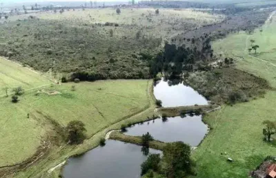 Fazenda à venda na km 183 da rodovia castelo branco, 9999, zona rural, bofete por r$ 50.000.000