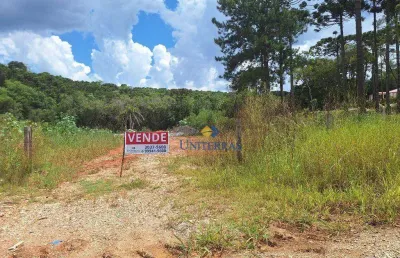 Chácara à venda, 4000 m² por r$ 235.000,00 - são dimas - colombo/pr