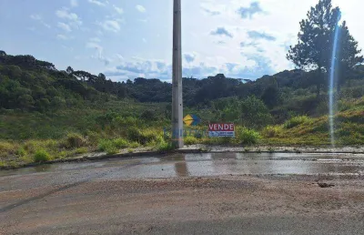Terreno à venda, 575 m² por r$ 270.000,00 - centro - campina grande do sul/pr