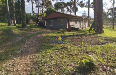 Chácara com 3 dormitórios à venda, 1000 m² por r$ 180.000,00 - saltinho - campina grande do sul/pr