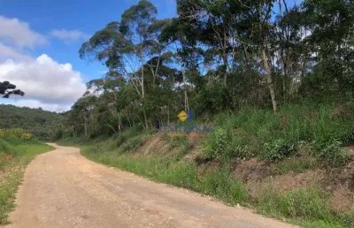 Terreno à venda, 525484m² por r$ 2.390.000 - centro - bocaiúva do sul/pr