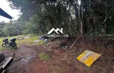 Terreno à venda em piraquara, vila fuck, com 1 quarto, 3000m²