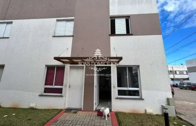 Casa à venda em cotia-sp, bairro água espraiada: 2 quartos, 1 sala, 1 vaga garagem, 51m² de área. imperdível!