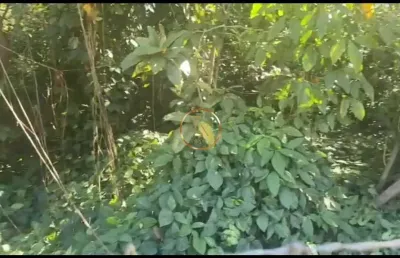 Terreno à venda em Vargem Pequena, Rio de Janeiro 