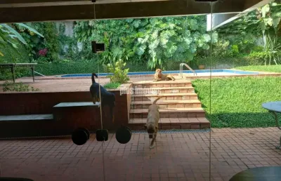 Casa com 4 quartos para alugar na Rua Luiz Galhanone, 329, Morumbi, São Paulo