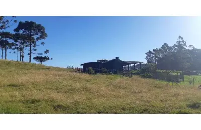 Fazenda com 1 sala à venda na Rio Dos Cedros, Alto Palmeiras, Rio dos Cedros