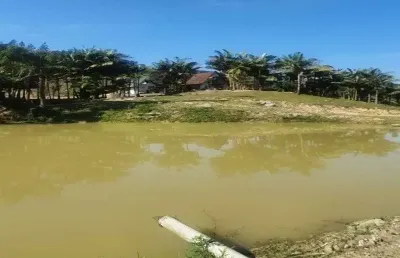Fazenda à venda na Benedito Novo, Zona Rural, Benedito Novo