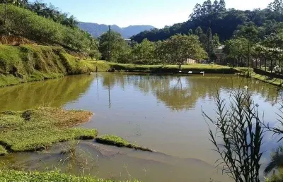 Fazenda à venda na Rua Ana Giovanella, 680, Dolorata, Rio dos Cedros