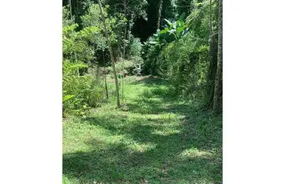 Fazenda à venda na Rio Dos Cedros, Zona Rural, Rio dos Cedros