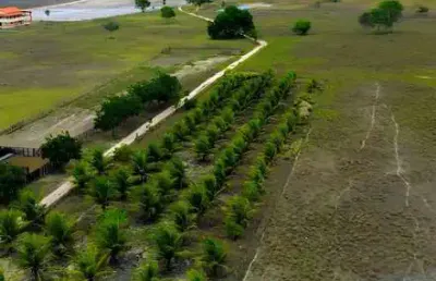 Fazenda à venda na Rn, 00, Centro, Brejinho