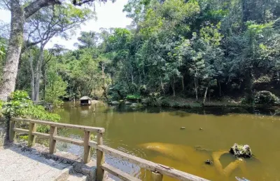 Chácara / sítio com 4 quartos à venda no santa inês, caieiras  por r$ 900.000