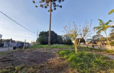 Terreno para alugar, 416 m² em frente a policia federal por r$ 2.000/mês - santa cândida - curitiba/pr