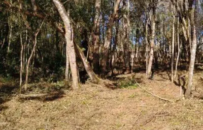 Terreno à venda na Alameda dos Eucaliptos, 957, Pirucaia, Mairiporã
