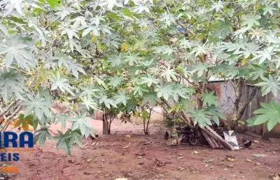 Terreno com escritura em bairro tranquilo com área verde