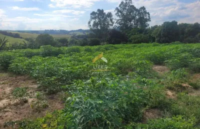 Fazenda à venda na rua antônio josé malaquias, 22, centro, elias fausto, 500 m2 por r$ 2.200.000