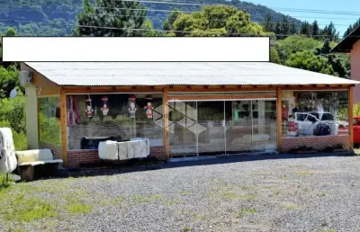 Chácara / sítio à venda na Rs 235, 1, Linha Araripe, Nova Petrópolis