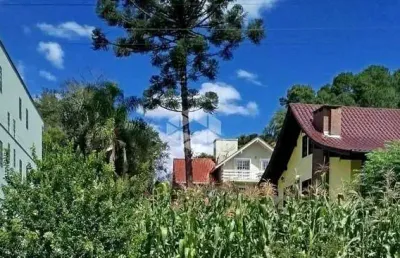 Terreno à venda na Selvino Boone, 96, Logradouro, Nova Petrópolis