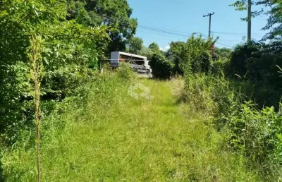 Terreno na avenida 15 de novembro as margens da rs 235