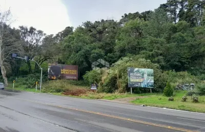 Terreno à venda na Br 116, 200, Bavária, Nova Petrópolis