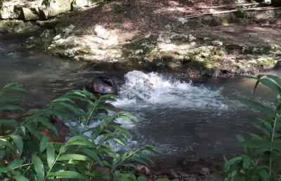 Chácara / sítio à venda na Dos Ackermann, 1000, Zona Rural, Nova Petrópolis