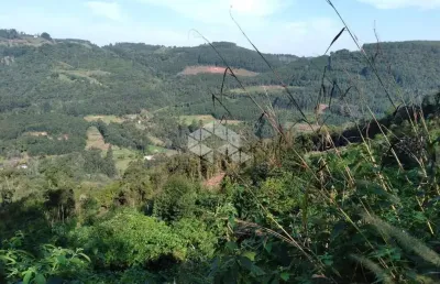 Chácara / sítio à venda na Dos Ackermann, 7500, Zona Rural, Nova Petrópolis
