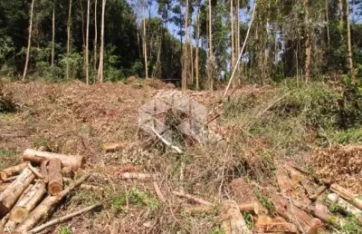 Chácara / sítio à venda na Vereador Fridolino Ludwig, 100, Linha Imperial, Nova Petrópolis