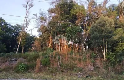 Terreno à venda na Das Calêndulas, 1, Juriti, Nova Petrópolis