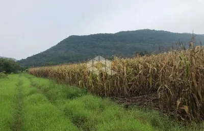 Chácara / sítio à venda na Não Informado, 358, Linha Temerária, Nova Petrópolis