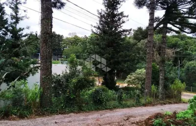 Terreno noo centro de nova petrópolis na serra gaúcha