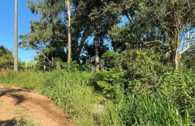 Chácara / sítio à venda na Fazenda Pirajá, 1001, Zona Rural, Nova Petrópolis