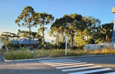 Terreno à venda na Jardim Europa, 1, Vila Olinda, Nova Petrópolis