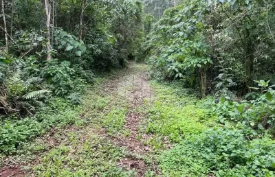 Chácara / sítio à venda na Linha Olinda, 10, Vila Olinda, Nova Petrópolis