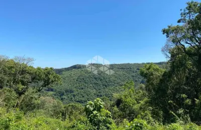 Chácara / sítio à venda na 13 Colonias, 2000, Zona Rural, Nova Petrópolis