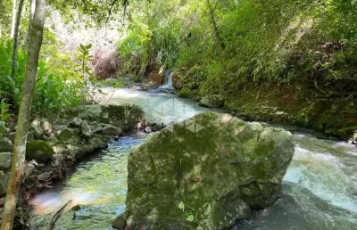 Chácara / sítio à venda na Akcermann, 7000, Bavária, Nova Petrópolis