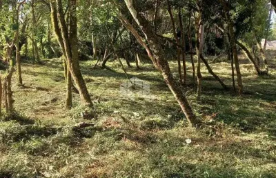 Terreno à venda na Alberto Lamberty, 100, Vila Germania, Nova Petrópolis