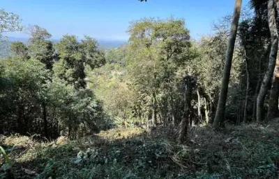 Terreno à venda na Rua Canarinho, Jardim Renata, Itapecerica da Serra