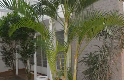 Casa 268m², 02 dormitórios e 02 banheiros .  excelente localização, entre as ruas barão do sabará, gabriele d'annunzio