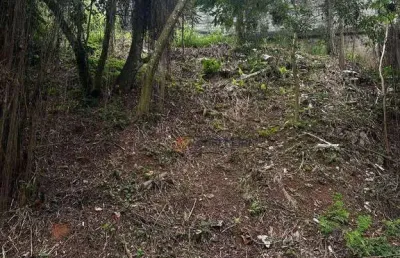 Terreno à venda, 290 m² por r$ 310.000,00 - jardim virginia bianca - são paulo/sp
