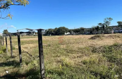 Terreno comercial para alugar na rua umuarama, 280, emiliano perneta, pinhais por r$ 72.000