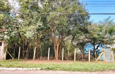 Terreno/lote residencial para venda no bairro jansen em gravataí