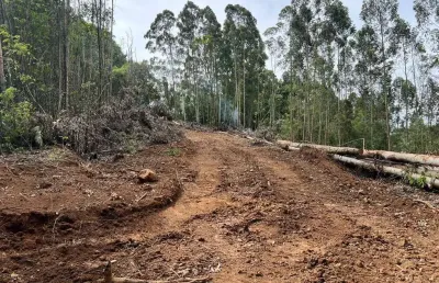 Terreno para venda no bairro farroupilha em farroupilha